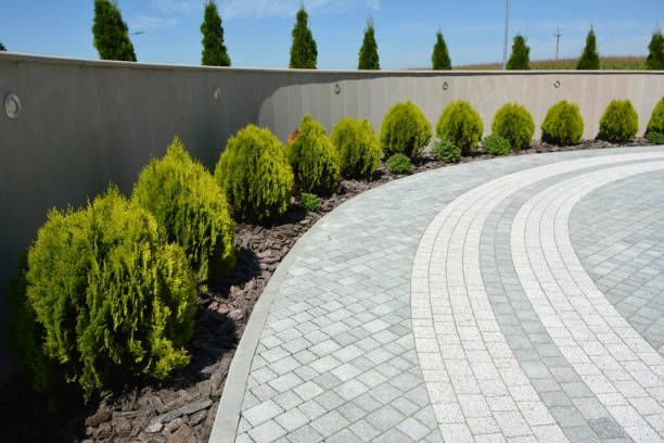 Best Professional Driveway Pavers  in San Angelo, TX